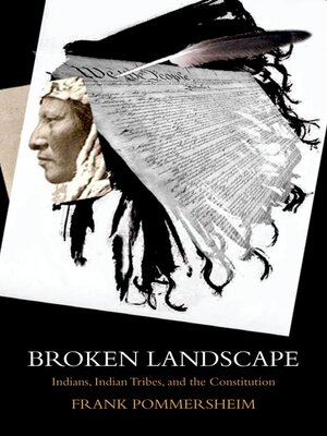 cover image of Broken Landscape